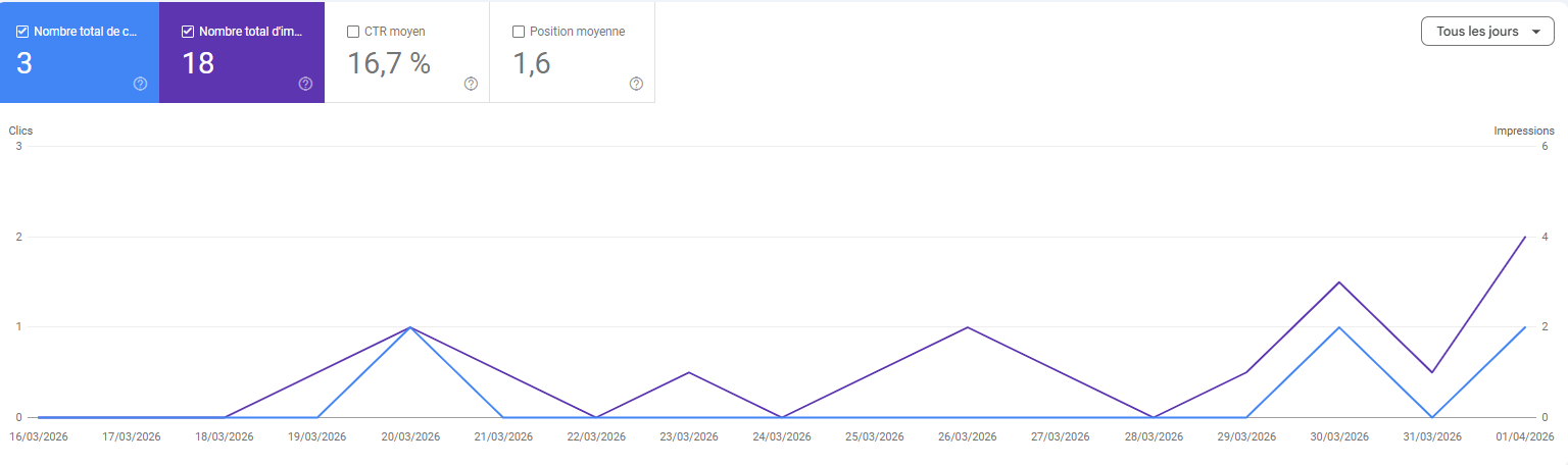 Performances dans Google Search Console